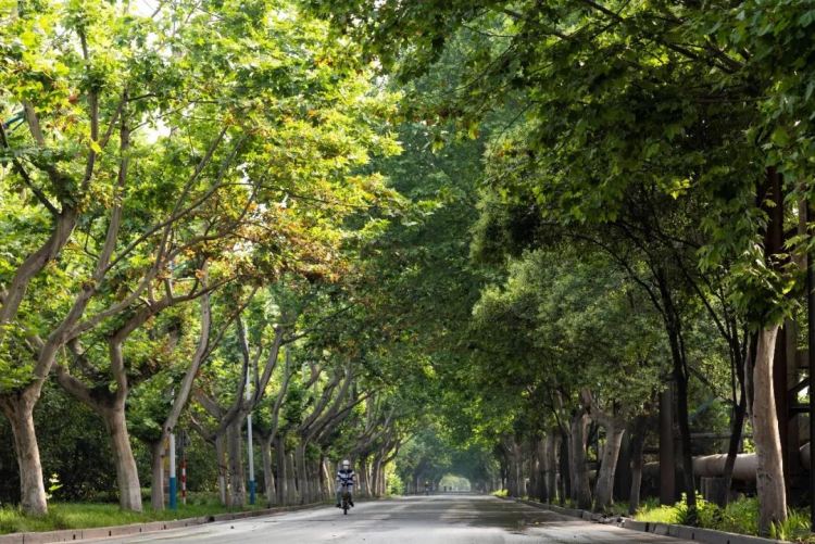 008008pg国际(中国区)-官方网站