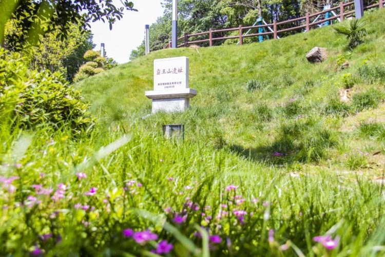 008008pg国际(中国区)-官方网站