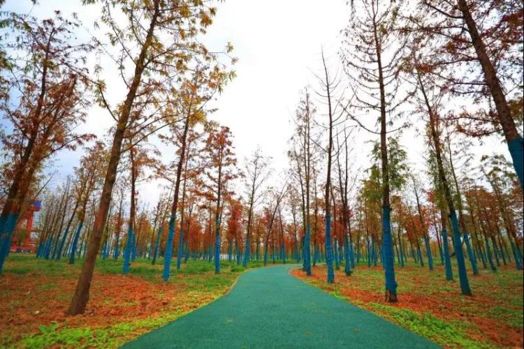 008008pg国际(中国区)-官方网站